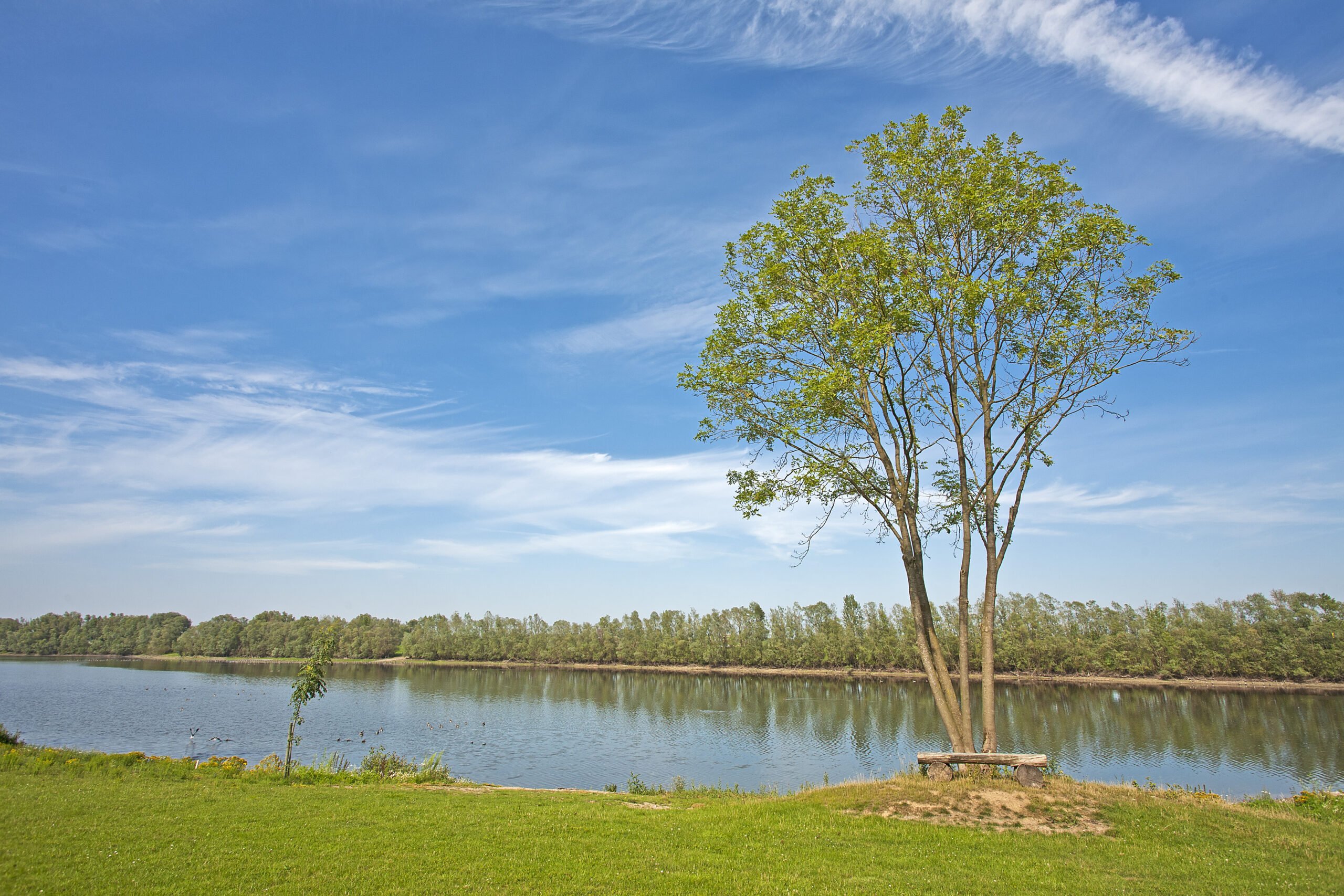 SLX-Foto-15 – Außen-Blick auf eigenem See am Rhein